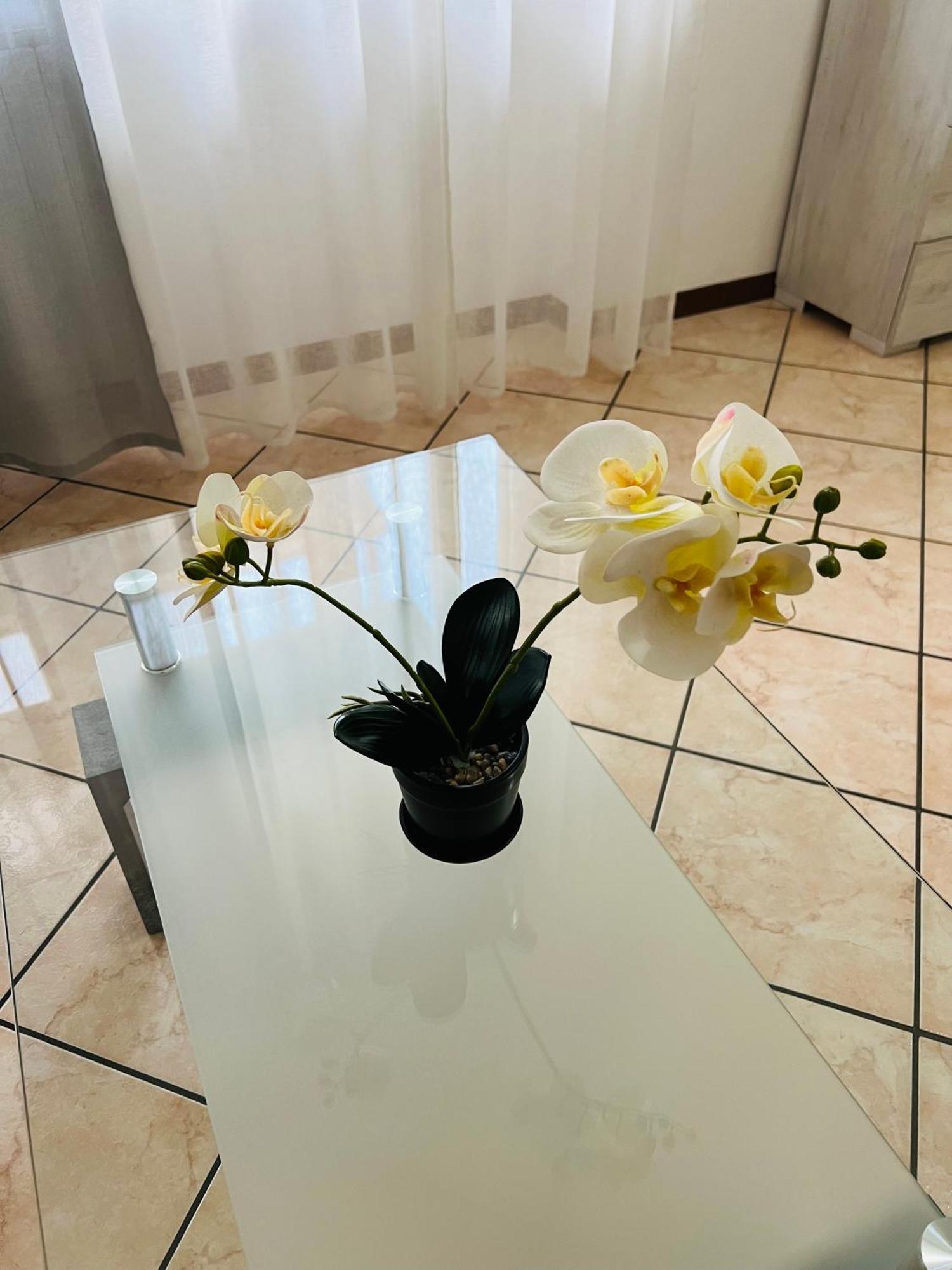 Casa Vacanza Elena 2 Βερόνα Εξωτερικό φωτογραφία
